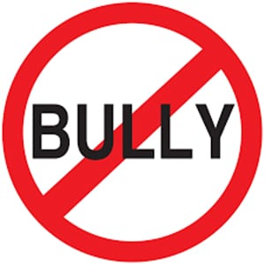 Anti Bully Character