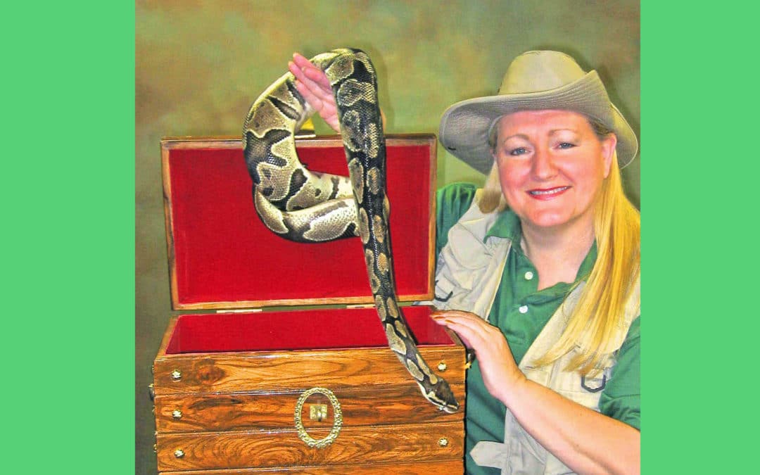 Animal Shows 102